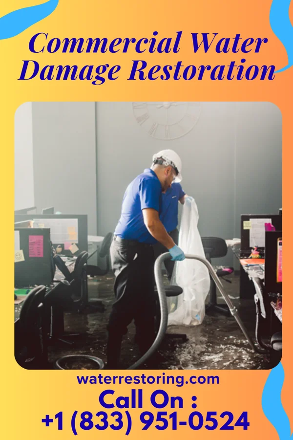 Commercial Water Damage Restoration in Kingstown, NC