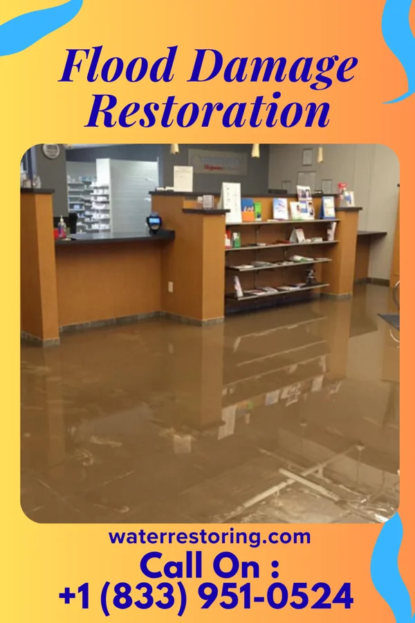 Flood Damage Restoration in Kingstown, NC