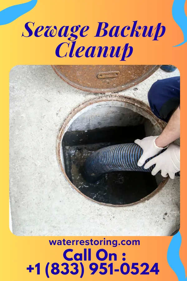 Sewage Backup Cleanup in Kingstown, NC